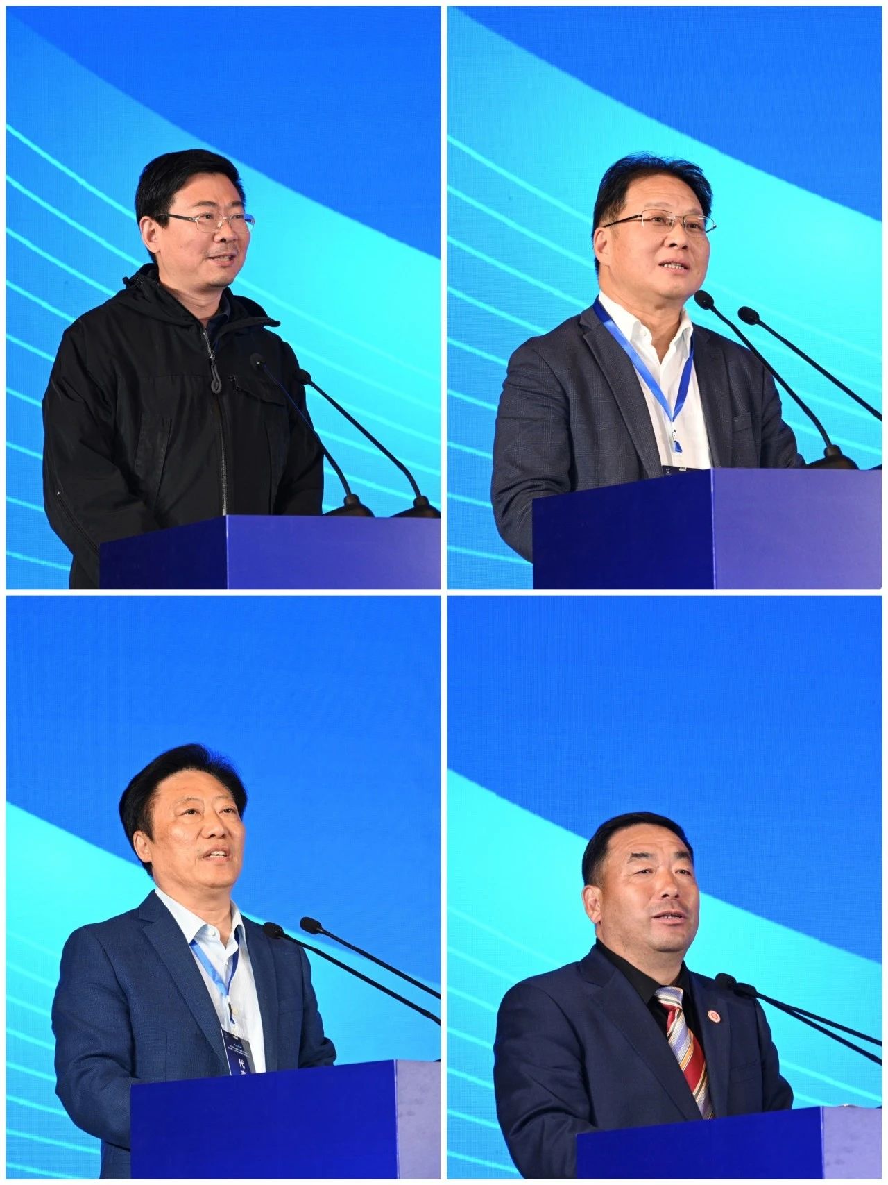 20250326-7.jpg 20250326-7.jpg